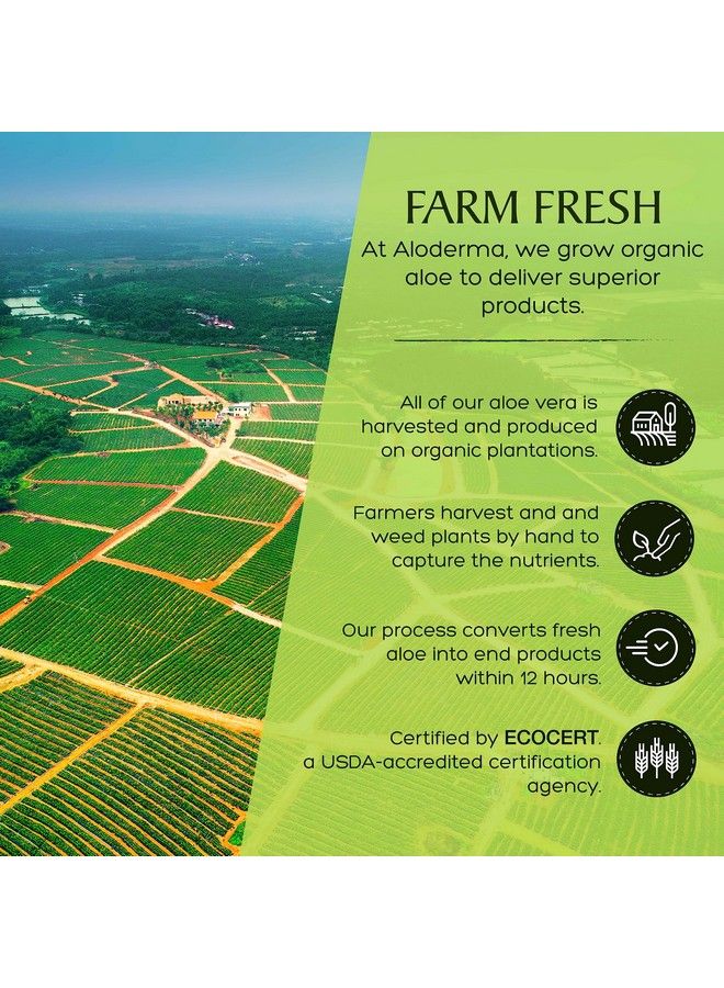 99% Organic Aloe Vera Gel Bottled Within 12 Hours Of Harvest (114G 4.0 Oz) No Sticky Residue No Powder Concentrates Or Water Added Ecofriendly