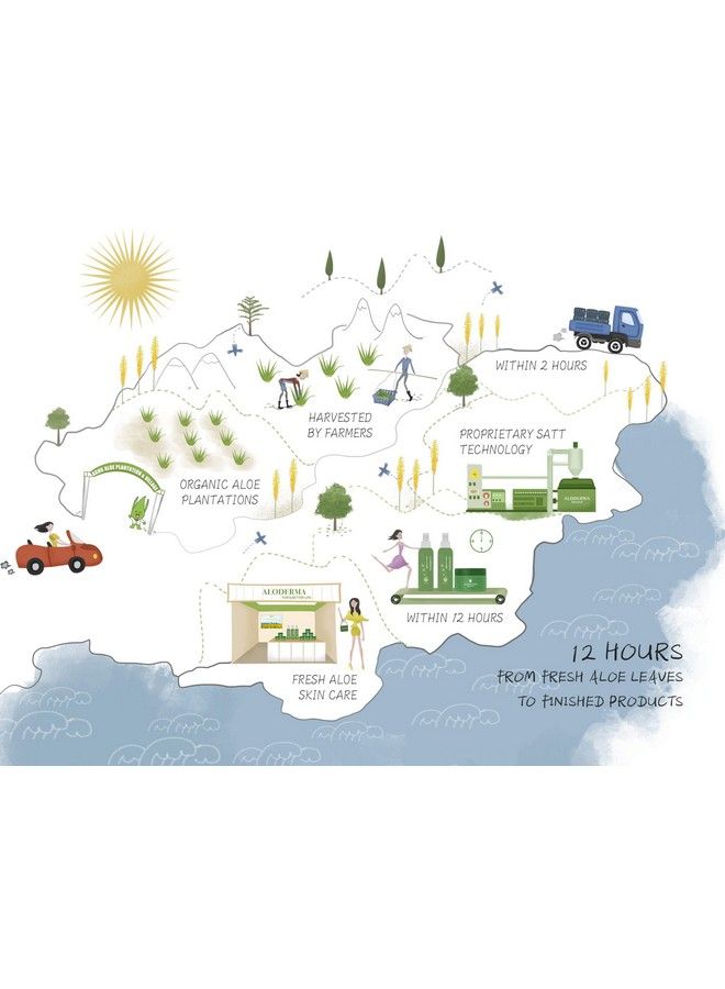 99% Organic Aloe Vera Gel Bottled Within 12 Hours Of Harvest (114G 4.0 Oz) No Sticky Residue No Powder Concentrates Or Water Added Ecofriendly