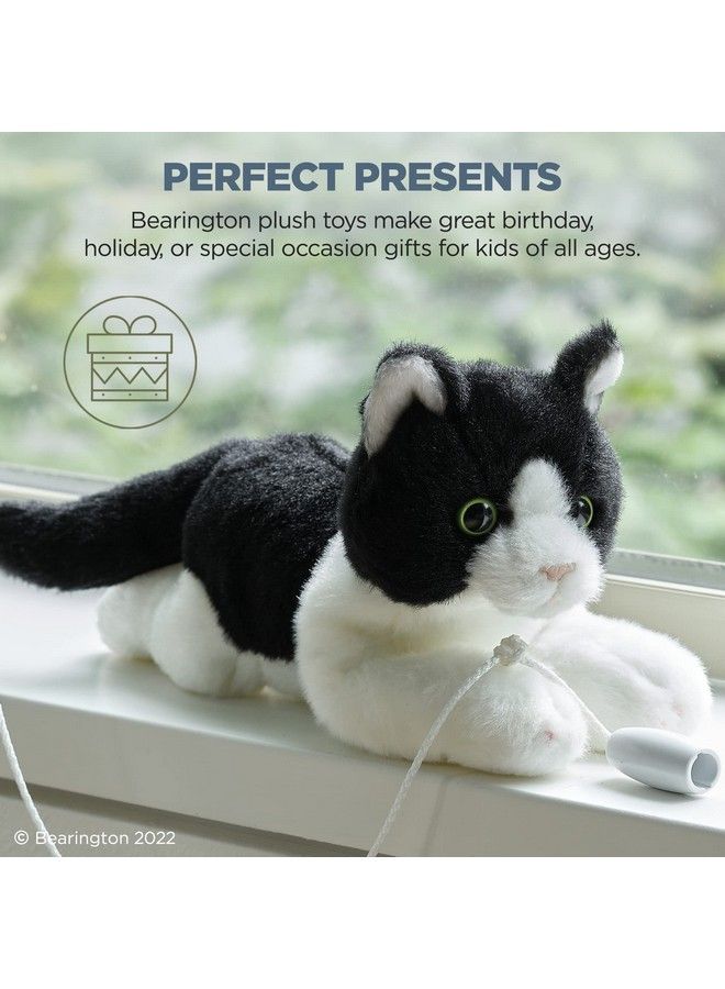 Bearington Lil’ Domino Stuffed Kitty: Plush Black & White Kitty Cat Ultrasoft 8” Plush Toy Made With Premium Fill Expressive Face And A Velour Belly; Machine Washable Great Gift For Cat Lovers