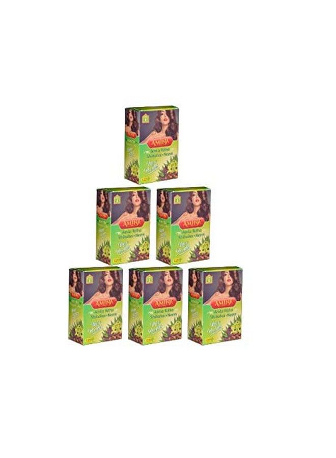 Herbal Amlarithashikakai Hair Wash Powder 480 G (Pack Of 6)