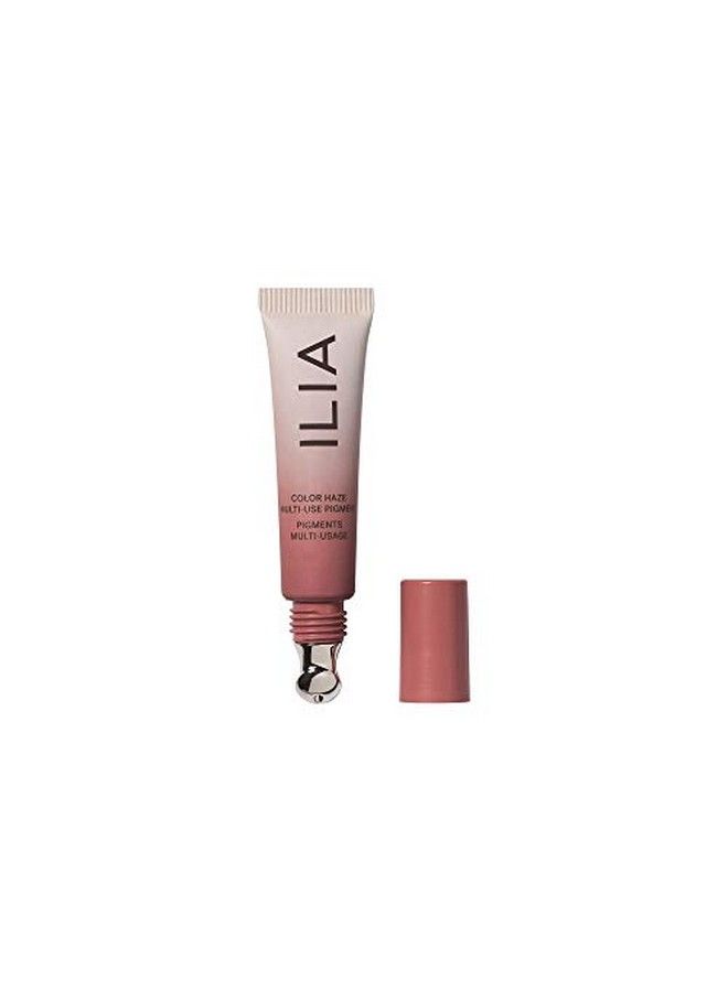 Color Haze Multimatte Pigment ; Crueltyfree Vegan Clean Beauty (Before Today (Mauve))