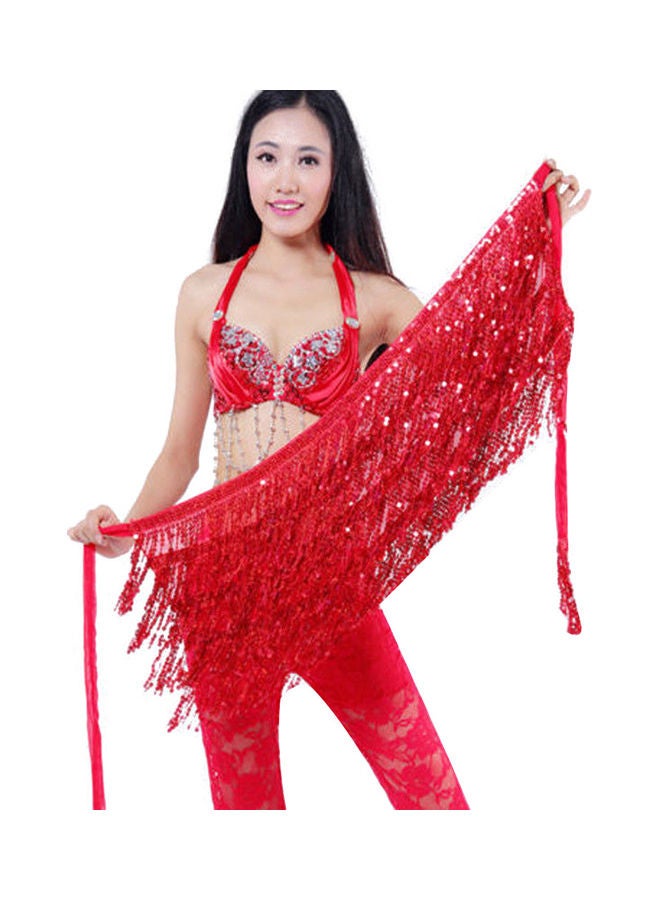Belly Dance Dancer Costume Sequins Tassels Fringes Hip Scarf Belt Waist Skirt 20 x 10 x 20cm