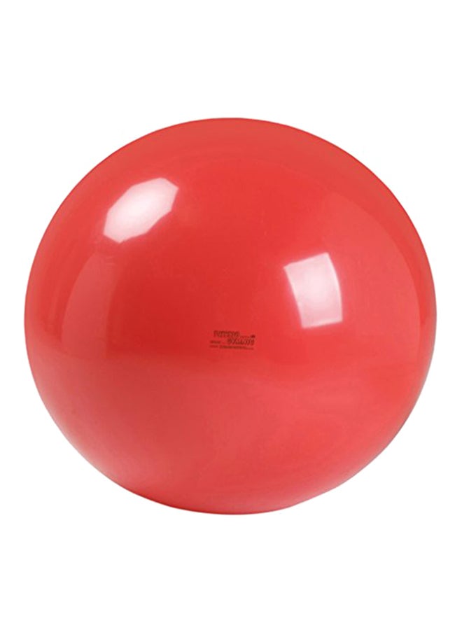 Physio Exercise Ball 12.7X9.25X4.75inch