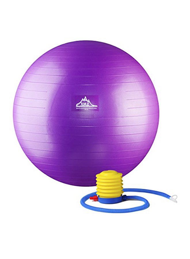Products Professional Grade Stability Ball 5X7X6inch