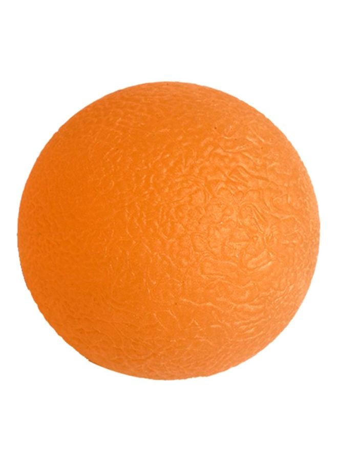 Level 2 Hand Therapy Exercise Ball