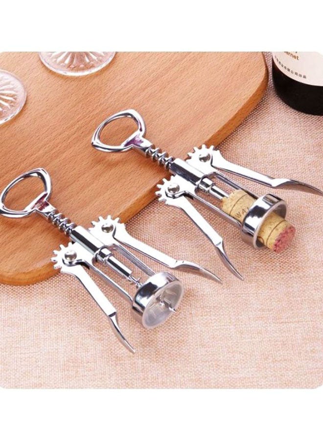 Stainless Steel Bottle Opener Silver/Clear 11x6cm