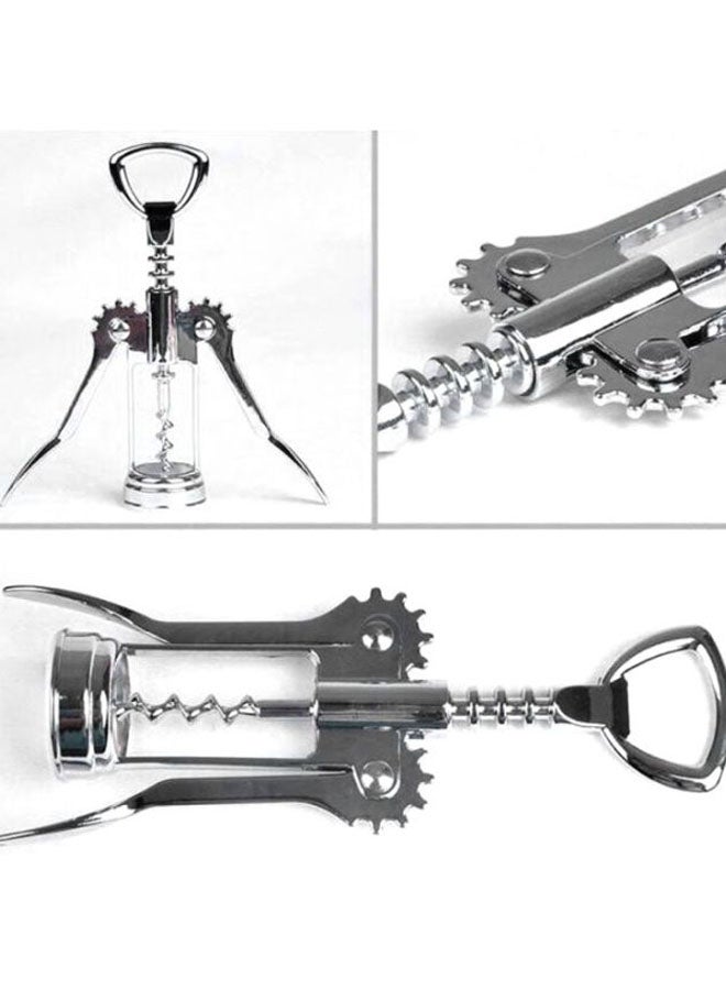 Stainless Steel Bottle Opener Silver/Clear 11x6cm