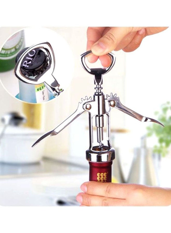 Stainless Steel Bottle Opener Silver/Clear 11x6cm