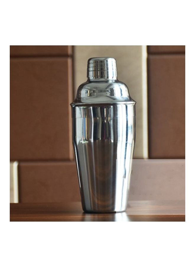 Stainless Steel Cocktail Shaker Silver