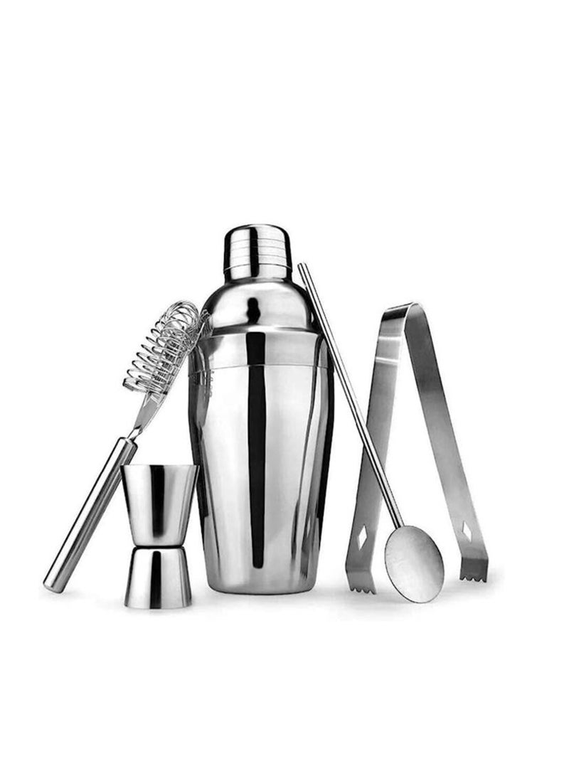 5pcs Cocktail Shaker Stainless Steel