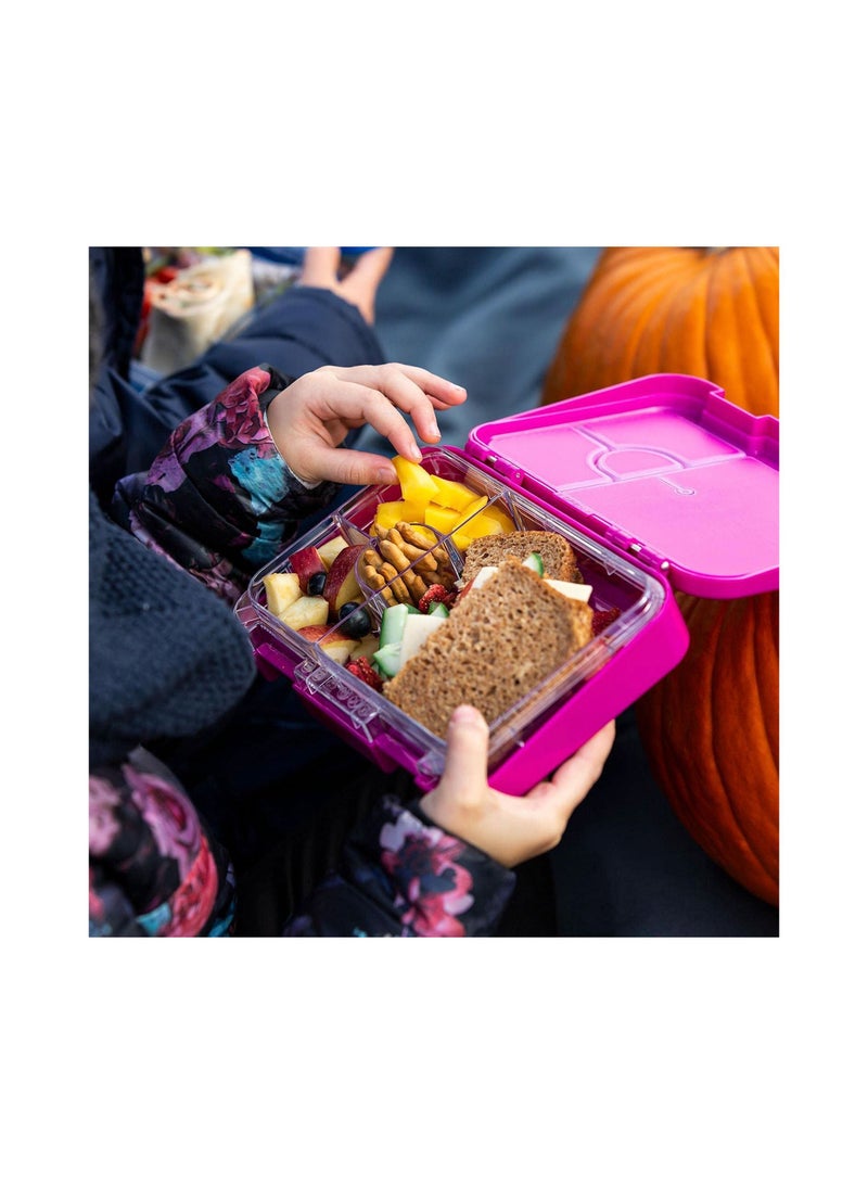 Lunch Box for Kid School Bento Purple Color for Kids 4 6 Convertible Compartments, BPA FREE, LEAK PROOF, Dishwasher Safe, Back to School Season, Food Graded Materials, Made of Triton