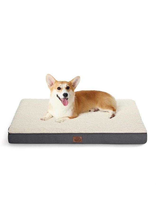 Medium Dog Bed for Medium Dogs - Orthopedic Dog Beds with Removable Washable Cover, Egg Crate Foam Pet Bed Mat, Suitable for Dogs Up to 35lbs