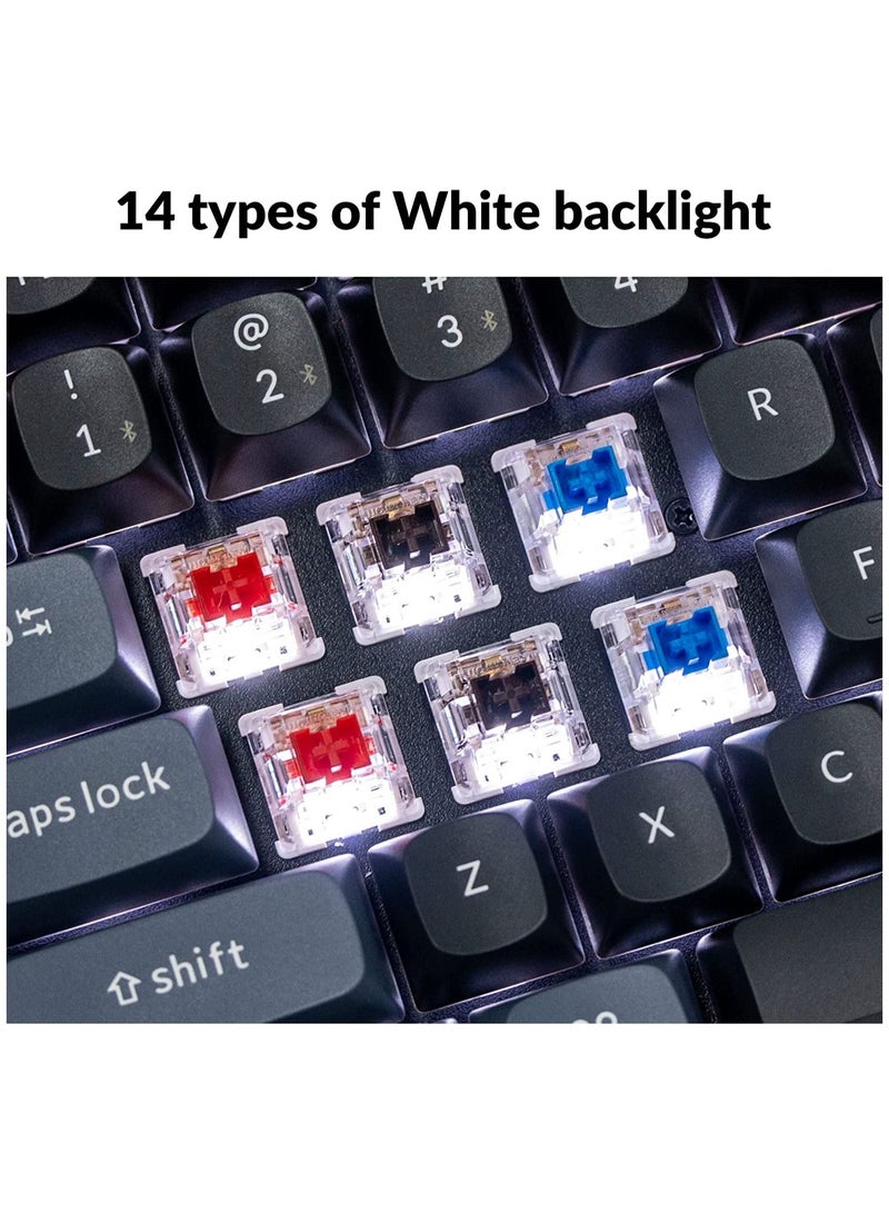 K2 Pro QMK/VIA Wireless Mechanical Keyboard, Custom Programmable Macro Wired Keyboard with Hot-Swappable K Pro Brown Switch White LED Backlight PBT Keycaps for Mac Windows Linux