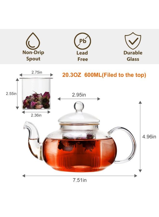 Glass Teapot Stovetop Safeclear Teapot With Removable Infuser 20.3 Ozloose Leaf And Blooming Tea Maker