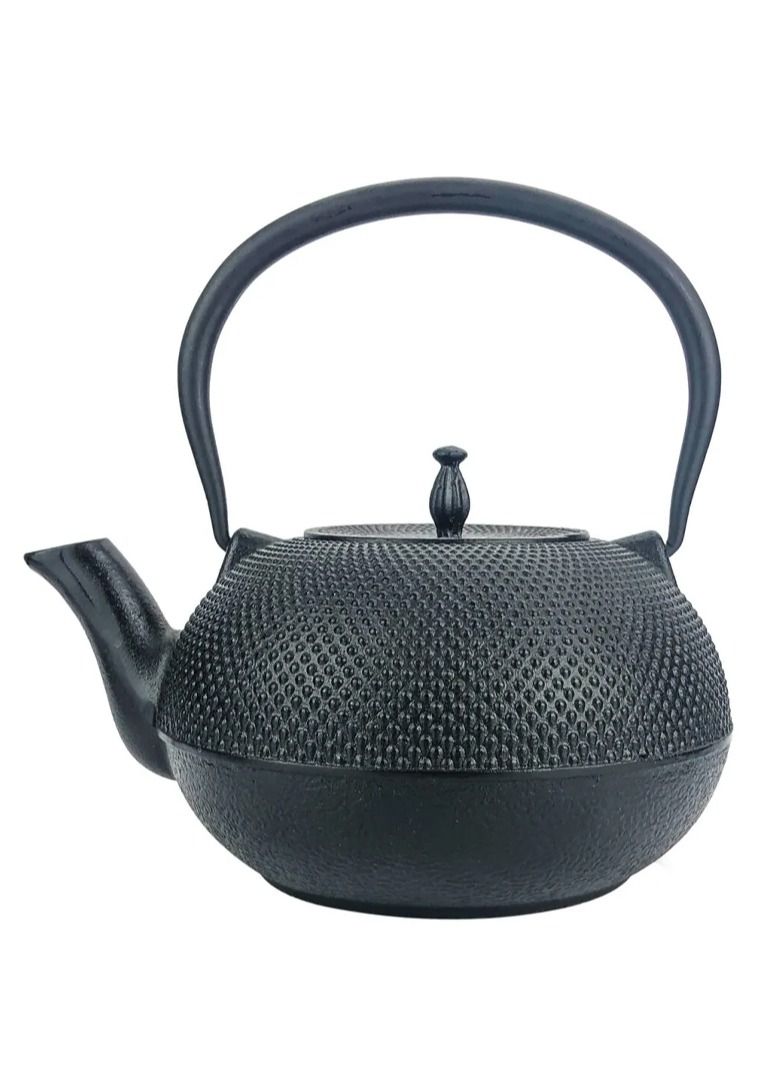 Durable Tetsubin Cast Iron Teapot  Enameled Interior 1.8 Liters Black