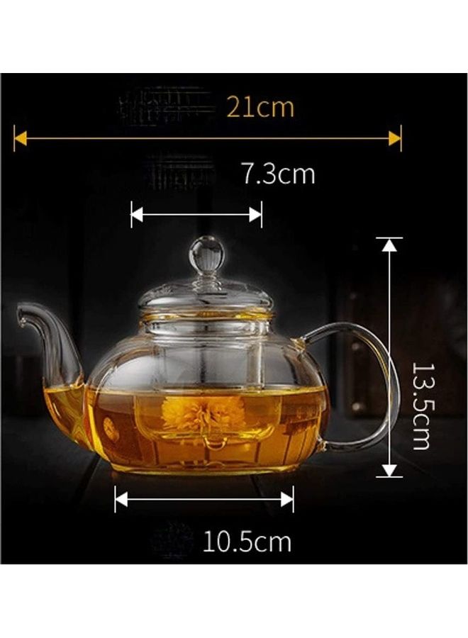 Heat Resistant Glass Teapot Set Clear 600ml
