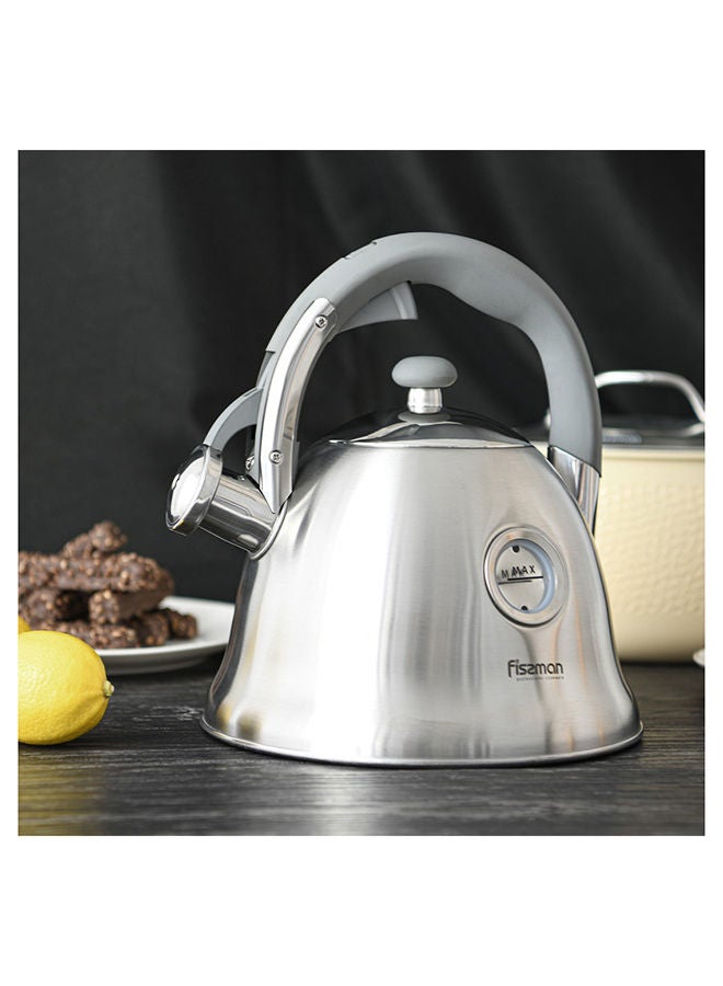 Whistling Kettle Wendy 3.0 Ltr Stainless Steel