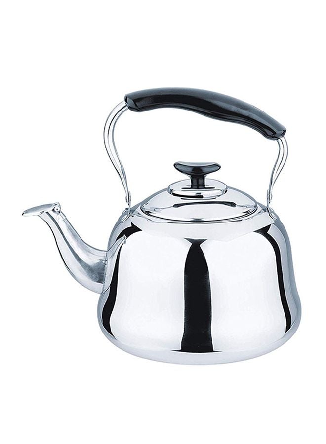 Stainless Steel Whistling Kettle Silver 5Liters