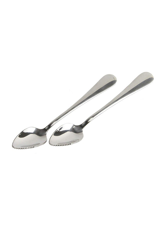 Pack Of 2 Serrated Grapefruit Spoon Silver
