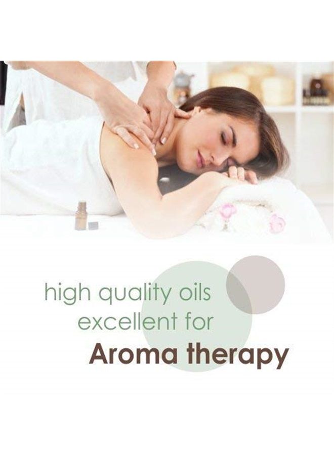 Arnica (Arnica Montana) Therapeutic Essential Oil by Salvia Amber Bottle 100% Natural Uncut Undiluted Pure Cold Pressed Undiluted Aromatherapy Premium Oil (500 ML)