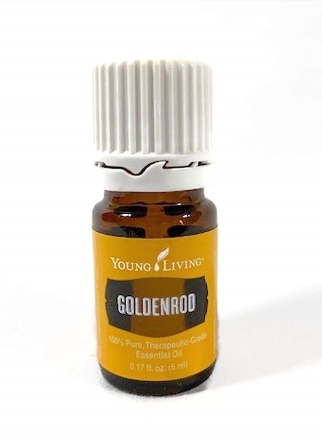 Goldenrod Essential Oil 5ml by Young Living Essential Oils