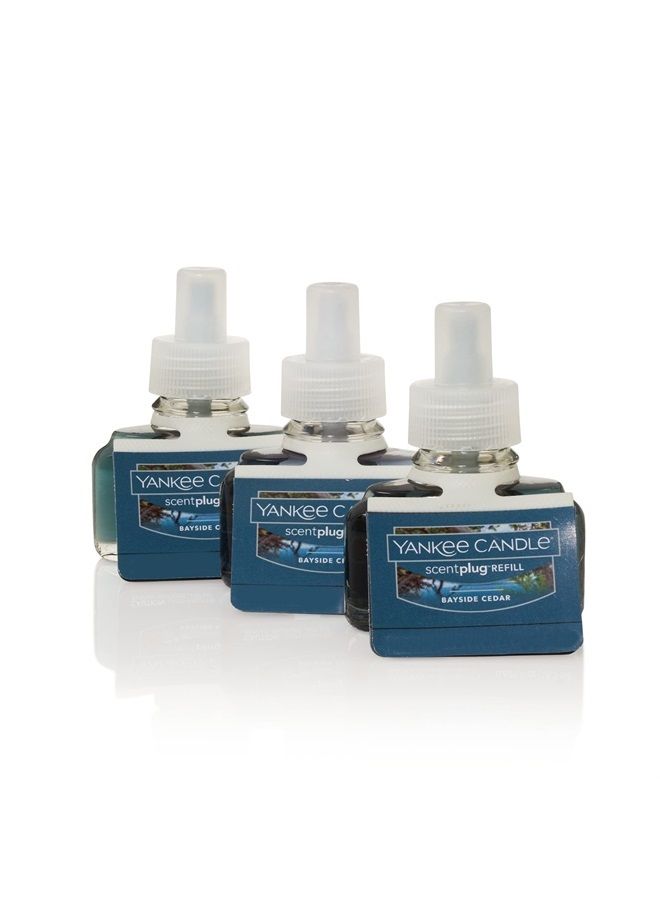 Bayside Cedar ScentPlug® Diffuser Refill, 3-Pack