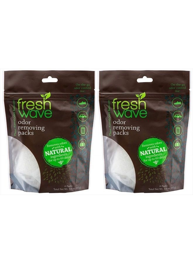Odor Eliminating & Deodorizing Packs | 2 Bags of 6 Each | Safer Odor Relief for Small Spaces | Natural Plant-Based Odor Eliminator | Odor Absorbers for Home