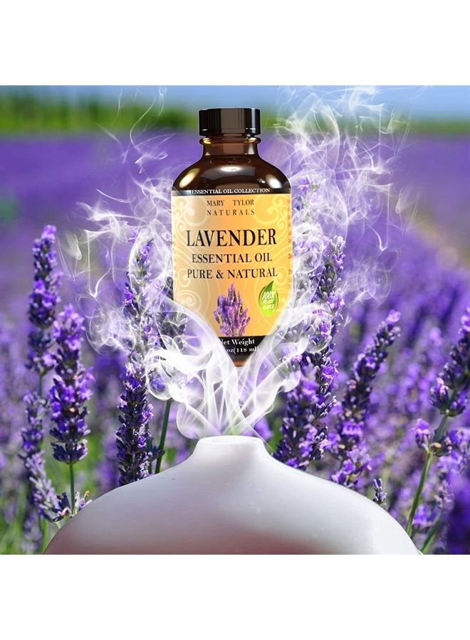 Lavender Essential Oil (4 oz) Premium Therapeutic Grade, 100% Pure and Natural, Perfect for Aromatherapy, Diffuser, DIY by Mary Tylor Naturals