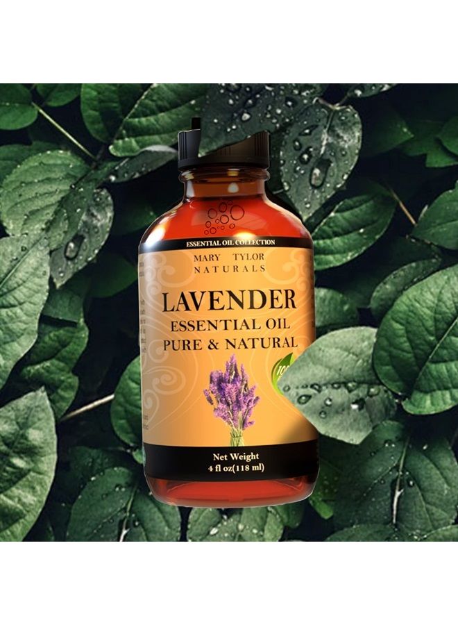 Lavender Essential Oil (4 oz) Premium Therapeutic Grade, 100% Pure and Natural, Perfect for Aromatherapy, Diffuser, DIY by Mary Tylor Naturals