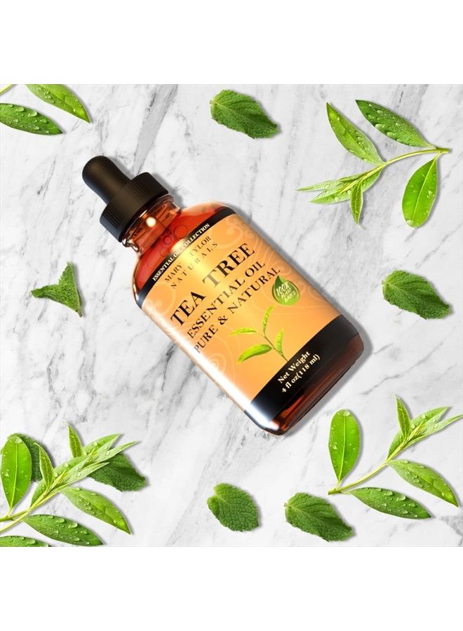Tea Tree Essential Oil (4 oz) Premium Therapeutic Grade, 100% Pure and Natural, Perfect for Aromatherapy, Diffuser, DIY by Mary Tylor Naturals