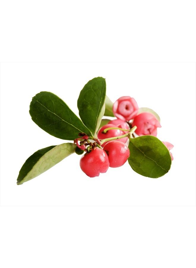 Wintergreen Essential Oil, 100% Pure and Natural Essential Oil for Sinus and Muscle Pain Relief, Aromatherapy and Topical Oils, 15 Milliliters