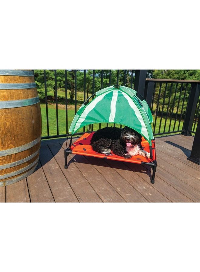 . Watermelon Elevated Bed for Dogs Small