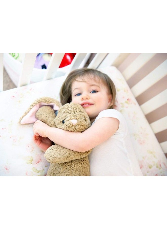 Recordable Stuffed Animals 20 Sec Heart Voice Recorder For Ultrasounds And Sweet Messages Playback Perfect Gender Reveal For Moms To Be Vintage Bunny