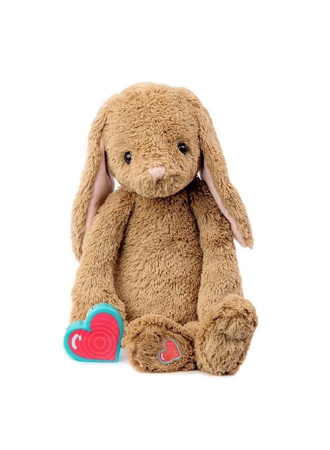 Recordable Stuffed Animals 20 Sec Heart Voice Recorder For Ultrasounds And Sweet Messages Playback Perfect Gender Reveal For Moms To Be Vintage Bunny
