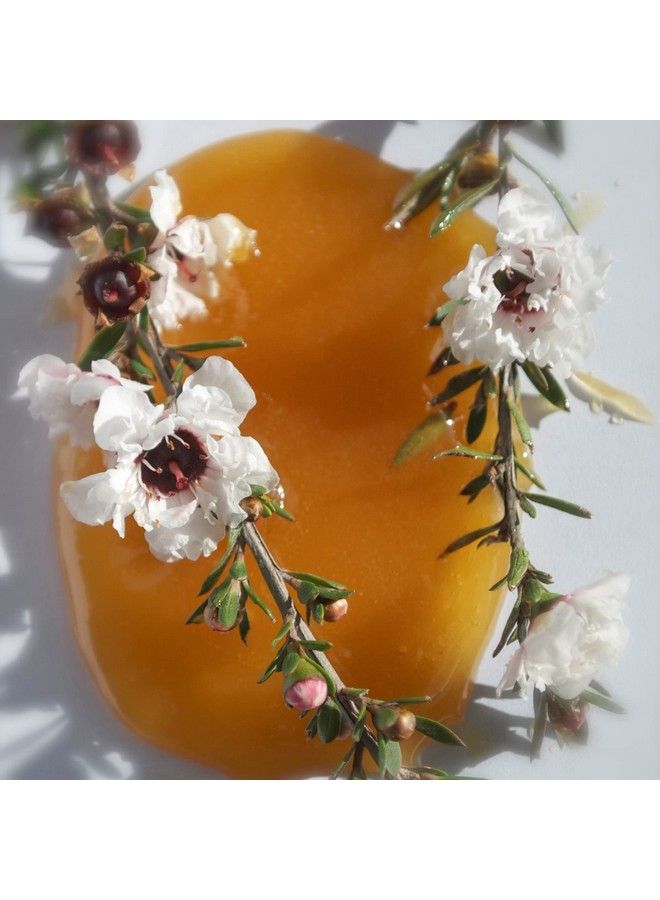 New Zealand Lanolin Face Cream With Active Manuka Honey 100G ( Pack Of 3)