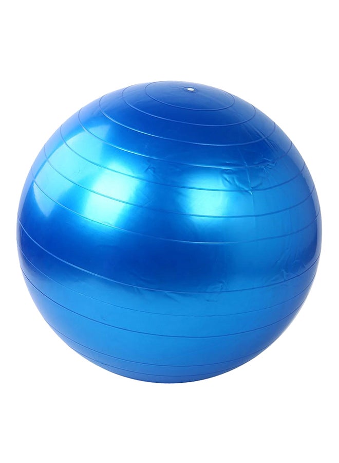 Large Anti Burst Gym Ball