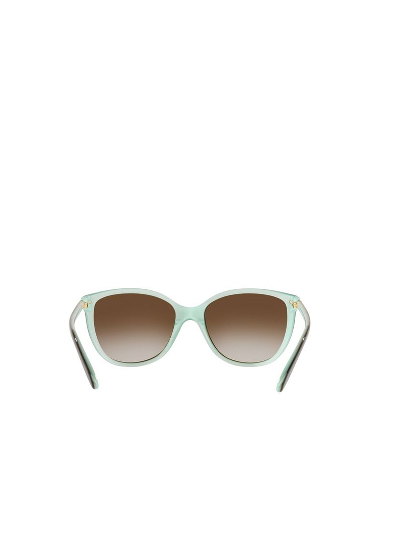 0Ra5160 Wayfarer Sunglasses