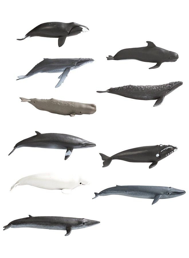 Whales Toob 10 Pieces ; Toobs Collection ; Miniature Toy Figurines For Boys & Girls