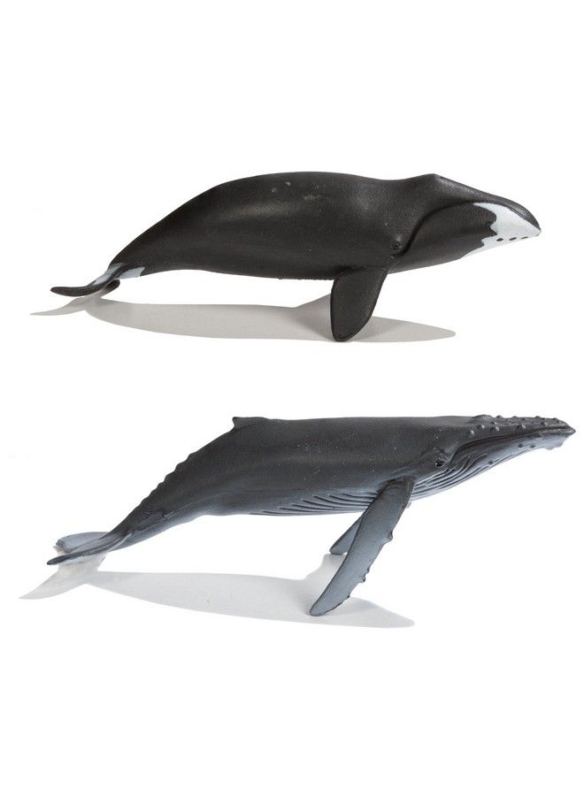 Whales Toob 10 Pieces ; Toobs Collection ; Miniature Toy Figurines For Boys & Girls