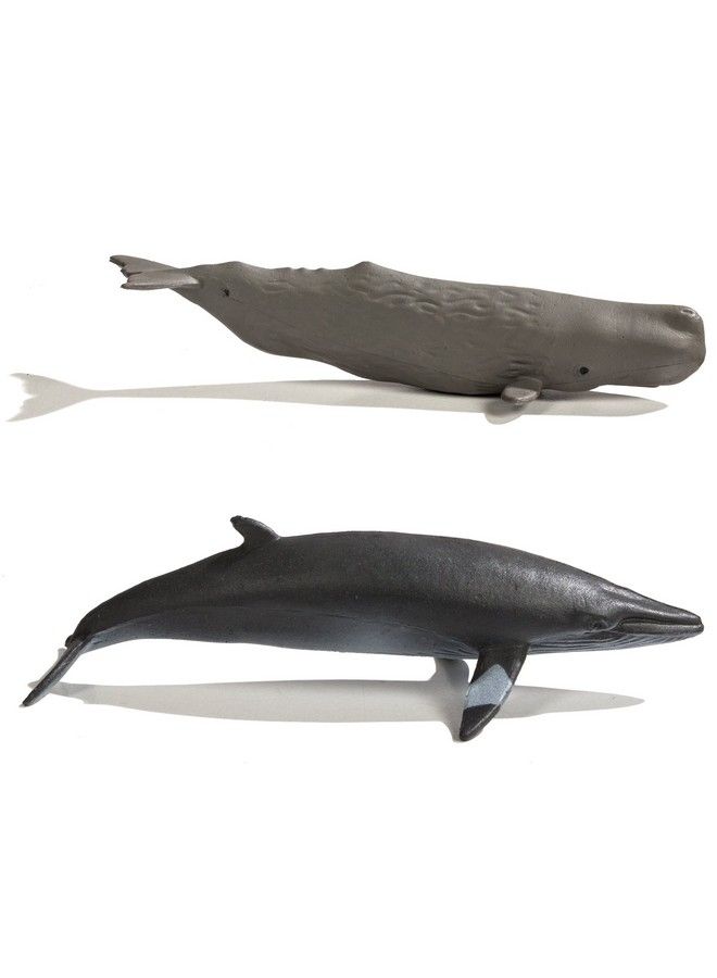 Whales Toob 10 Pieces ; Toobs Collection ; Miniature Toy Figurines For Boys & Girls