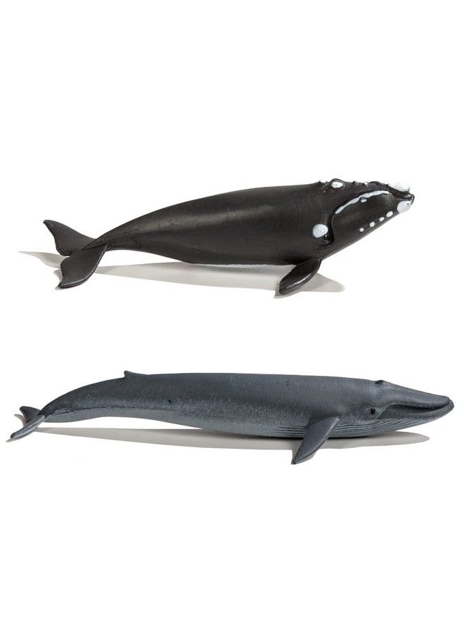 Whales Toob 10 Pieces ; Toobs Collection ; Miniature Toy Figurines For Boys & Girls