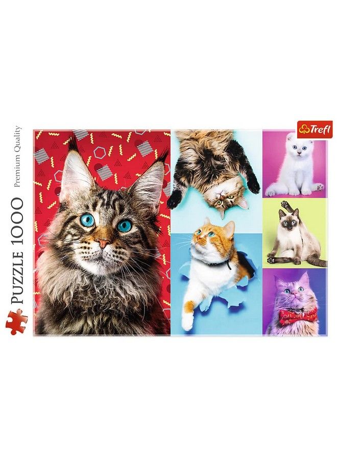 Red 1000 Piece Puzzle Happy Cats