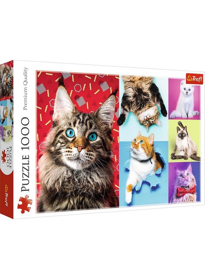 Red 1000 Piece Puzzle Happy Cats