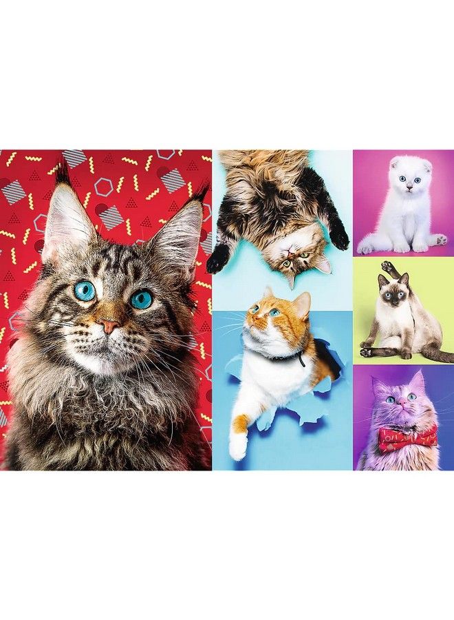 Red 1000 Piece Puzzle Happy Cats