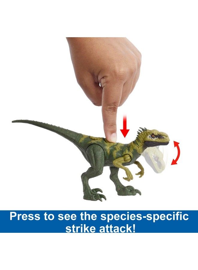 Jurassic World Strike Attack Dinosaur Toy Atrociraptor With Movable Joints & Single Strike Action Physical & Digital Play