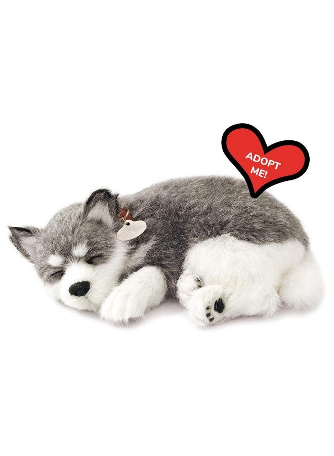 Original Petzzz Alaskan Husky Realistic Lifelike Stuffed Interactive Pet Toy Companion Pet Dog With 100% Handcrafted Synthetic Fur
