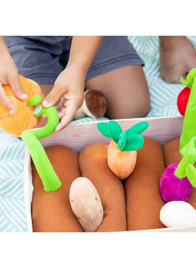 Plush Vegetable Garden 13 Piece Set: Pretend Food Early Learning Skills Ages 2+