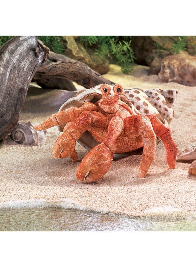 Hermit Crab Hand Puppet Orange; Cream; Brown 1 Ea