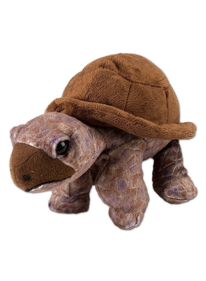 10894 Tortoise Plush Stuffed Animal Plush Toy Gifts For Kids 8