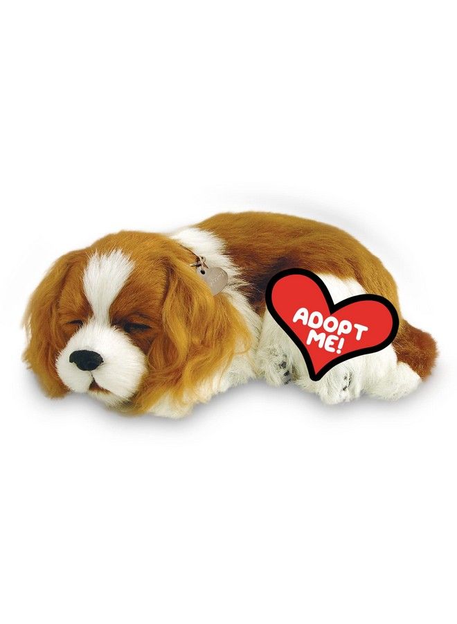 Original Petzzz Cavalier King Charles Realistic Lifelike Stuffed Interactive Pet Toy Companion Pet Dog With 100% Handcrafted Synthetic Fur Perfect Petzzz